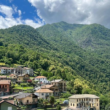 CASA DEL CIOS calda e intima casetta immersa nel verde delle montagne Alpe Basciumo Esterno foto
