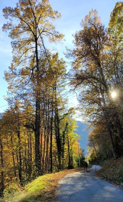 CASA DEL CIOS calda e intima casetta immersa nel verde delle montagne Alpe Basciumo Esterno foto