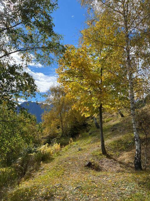 CASA DEL CIOS calda e intima casetta immersa nel verde delle montagne Alpe Basciumo Esterno foto