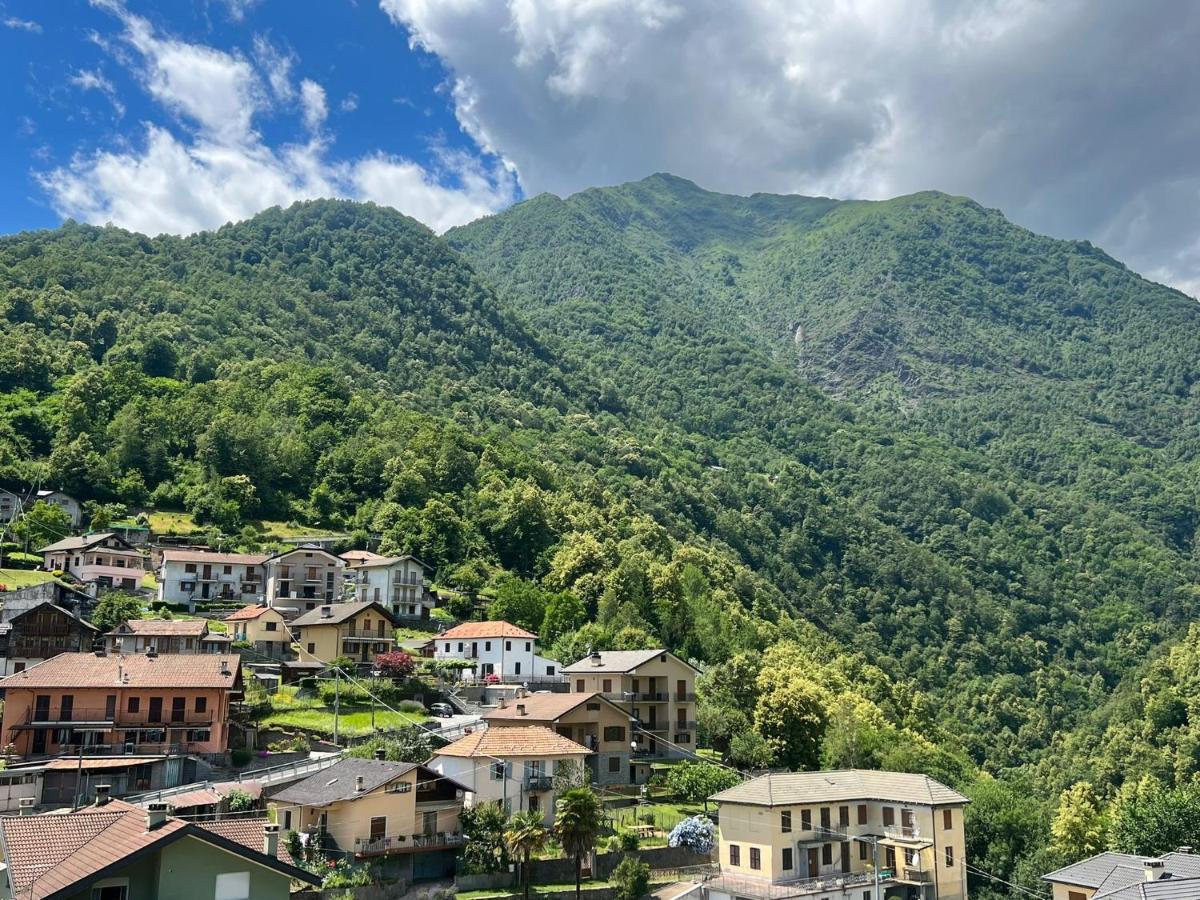 CASA DEL CIOS calda e intima casetta immersa nel verde delle montagne Alpe Basciumo Esterno foto